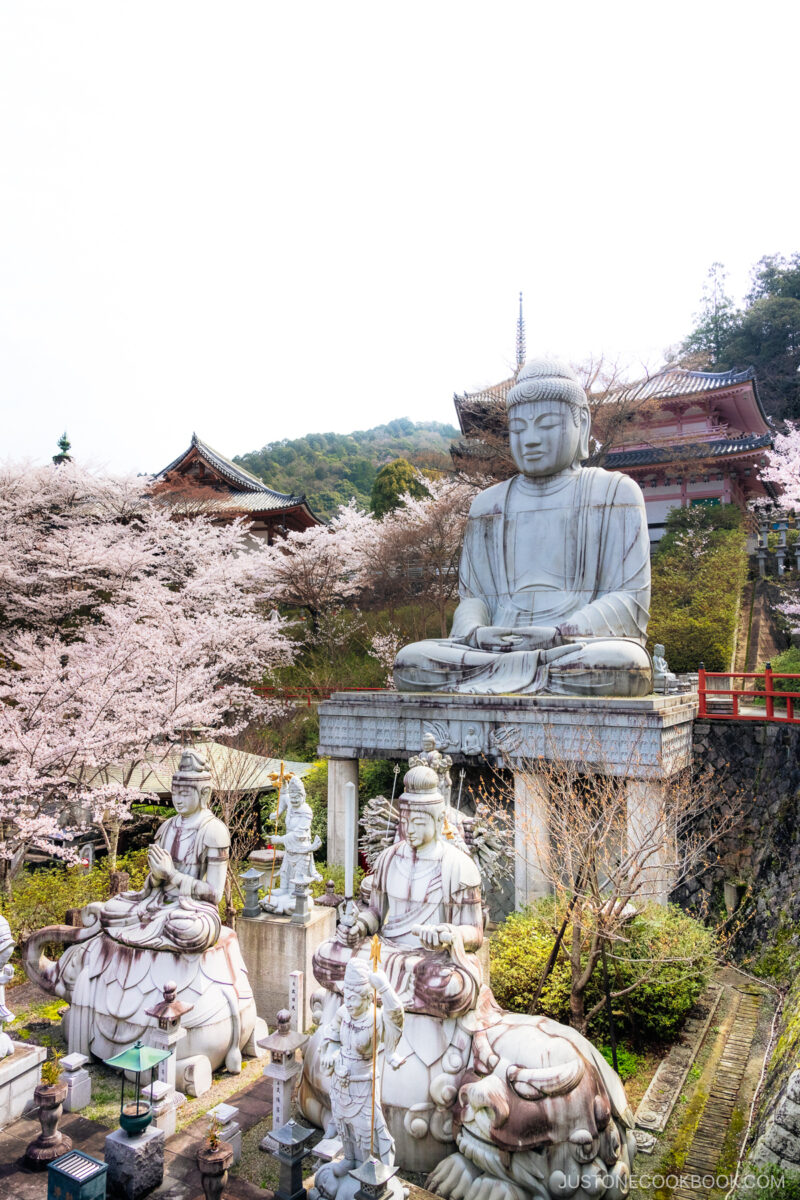 Giant Buddha Statue surrounded by cherry blossoms