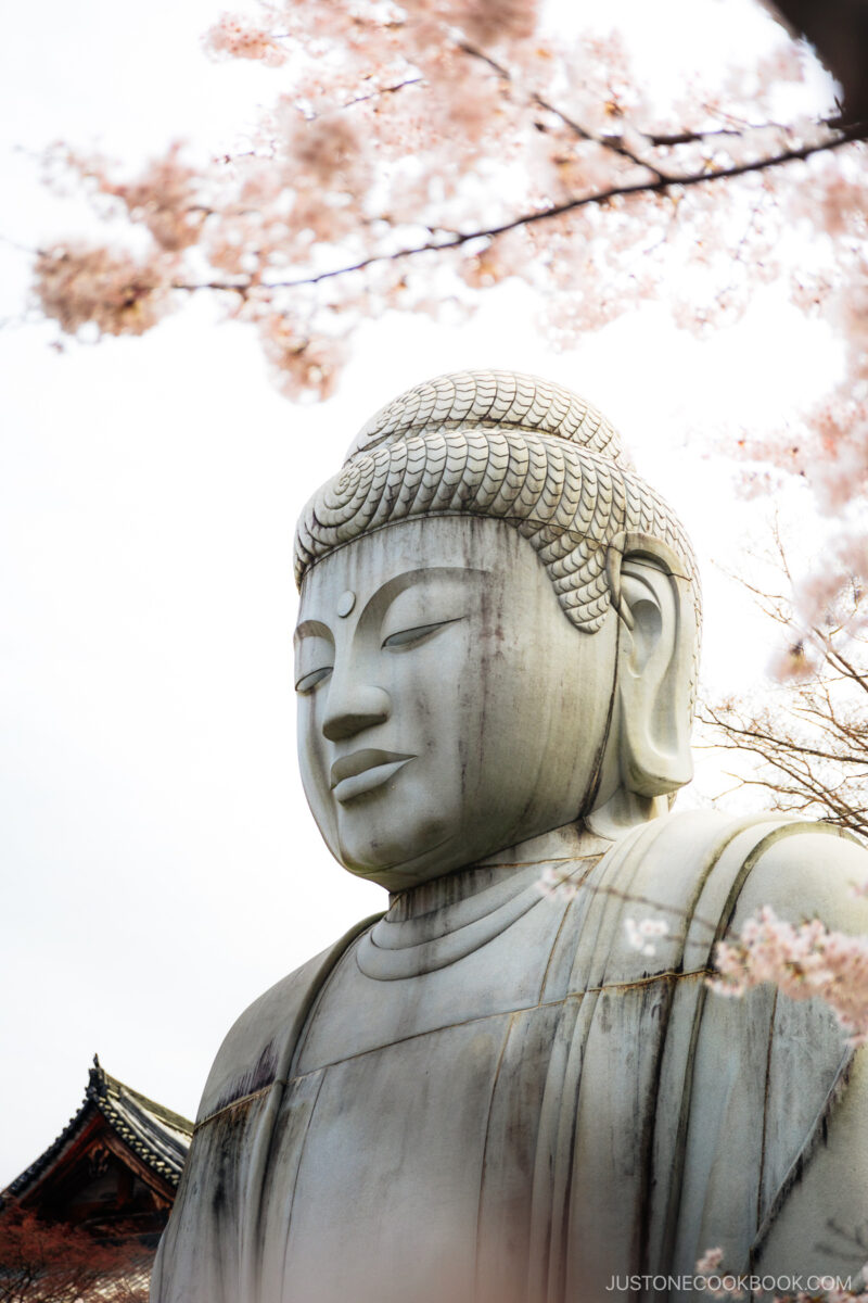 Giant Buddha Statue surrounded by cherry blossoms