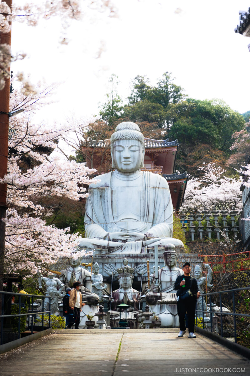 Giant Buddha Statue surrounded by cherry blossoms