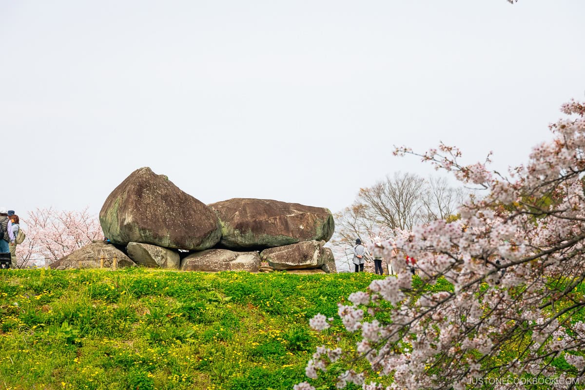 Giant rock structure surrounded by cherry blossoms