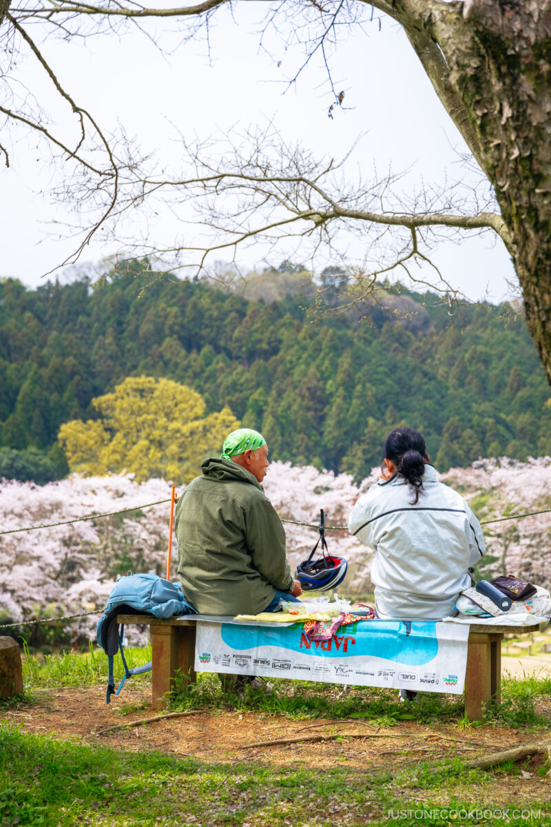 People having a picnic