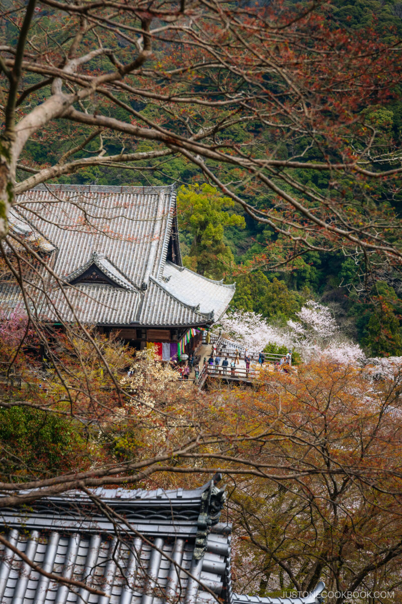 View overlooking main temple hall and balcony