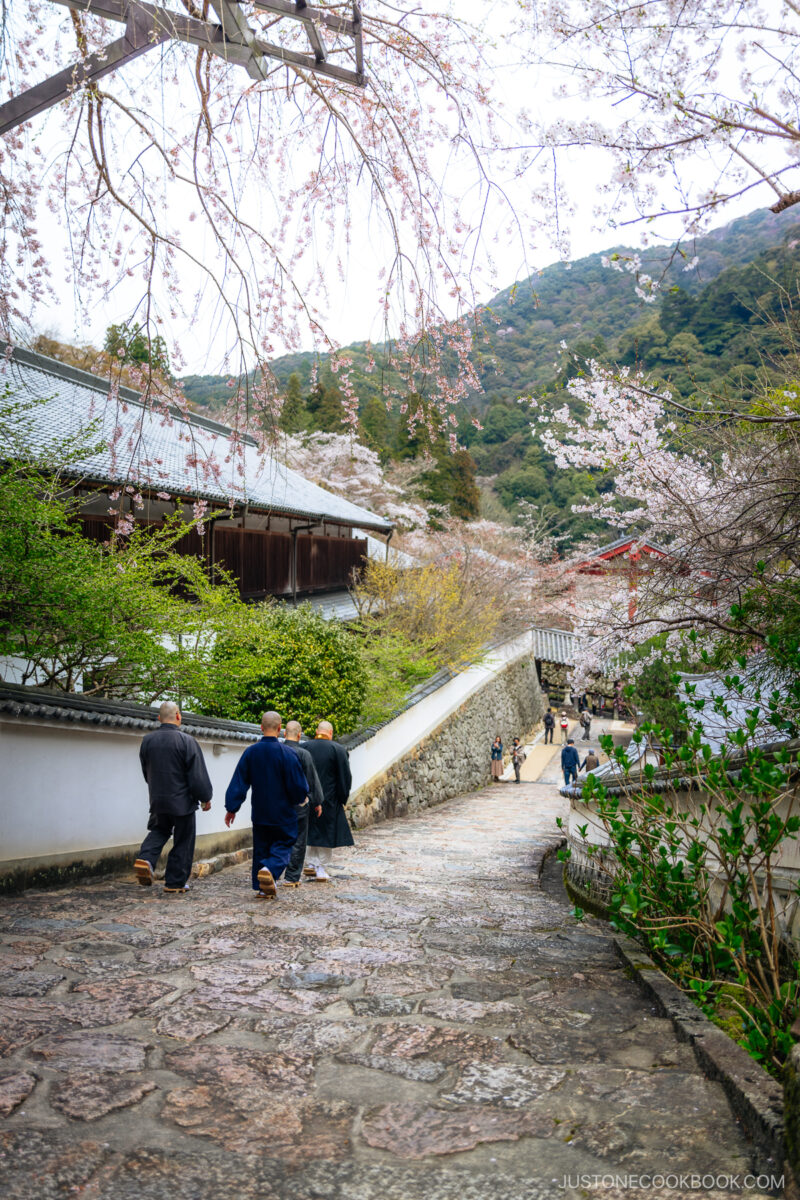 Monks walking down stairs