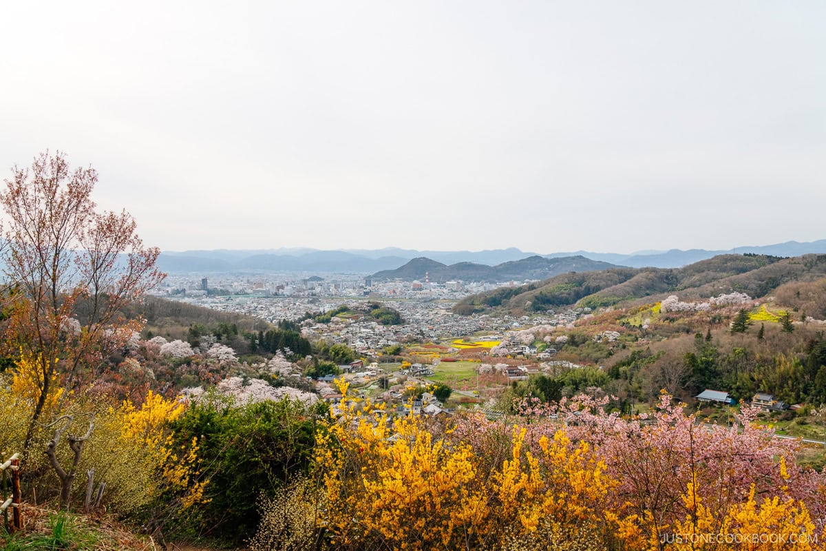Overlooking mountains and town covered in cherry blossoms