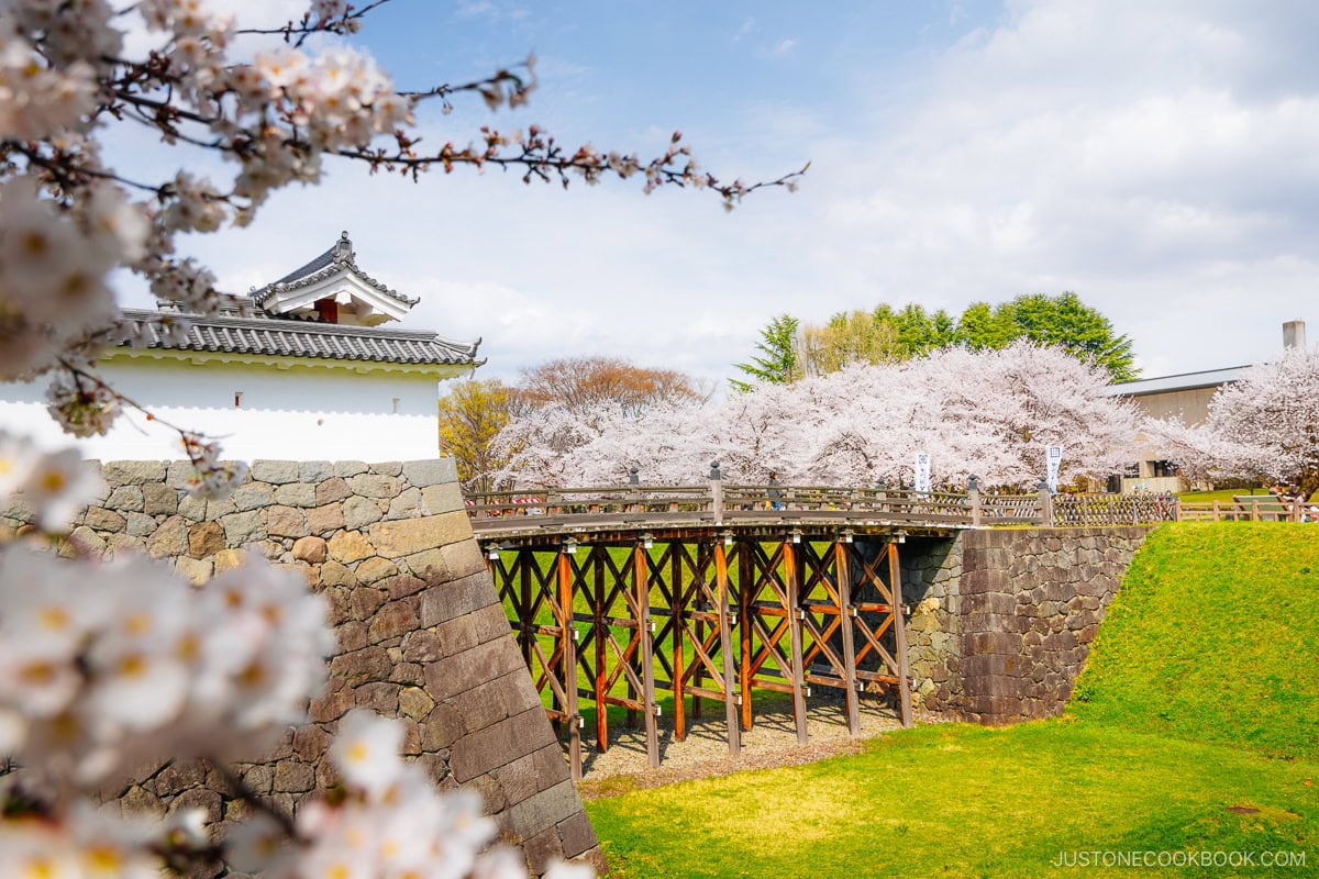 Castle bridge next to cherry blossoms