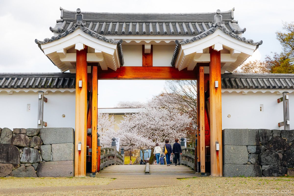 Castle gate