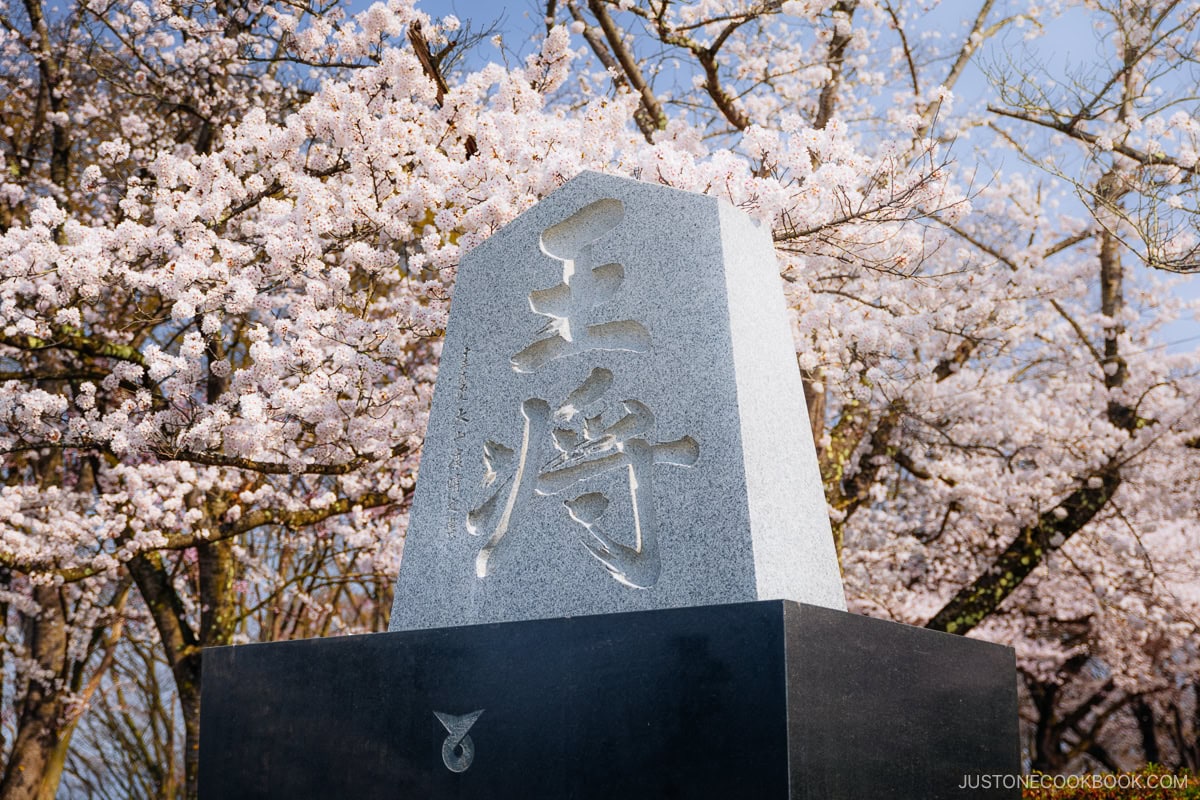 Shogi piece statue with cherry blossoms in the background