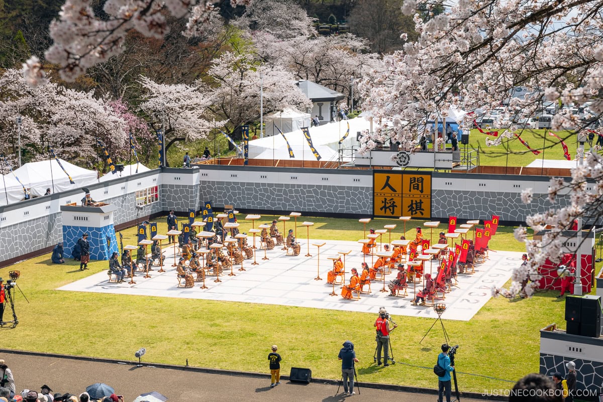 Life size human chess under cherry blossoms