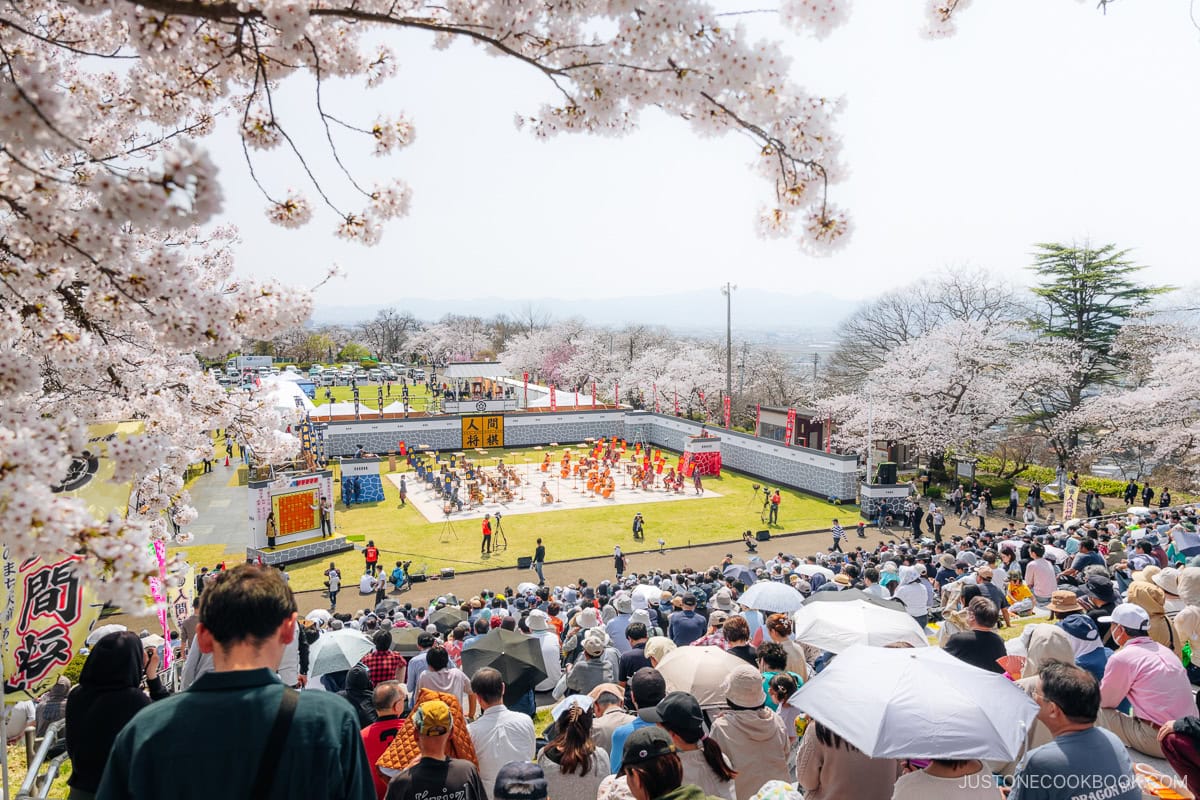 Life size human chess under cherry blossoms