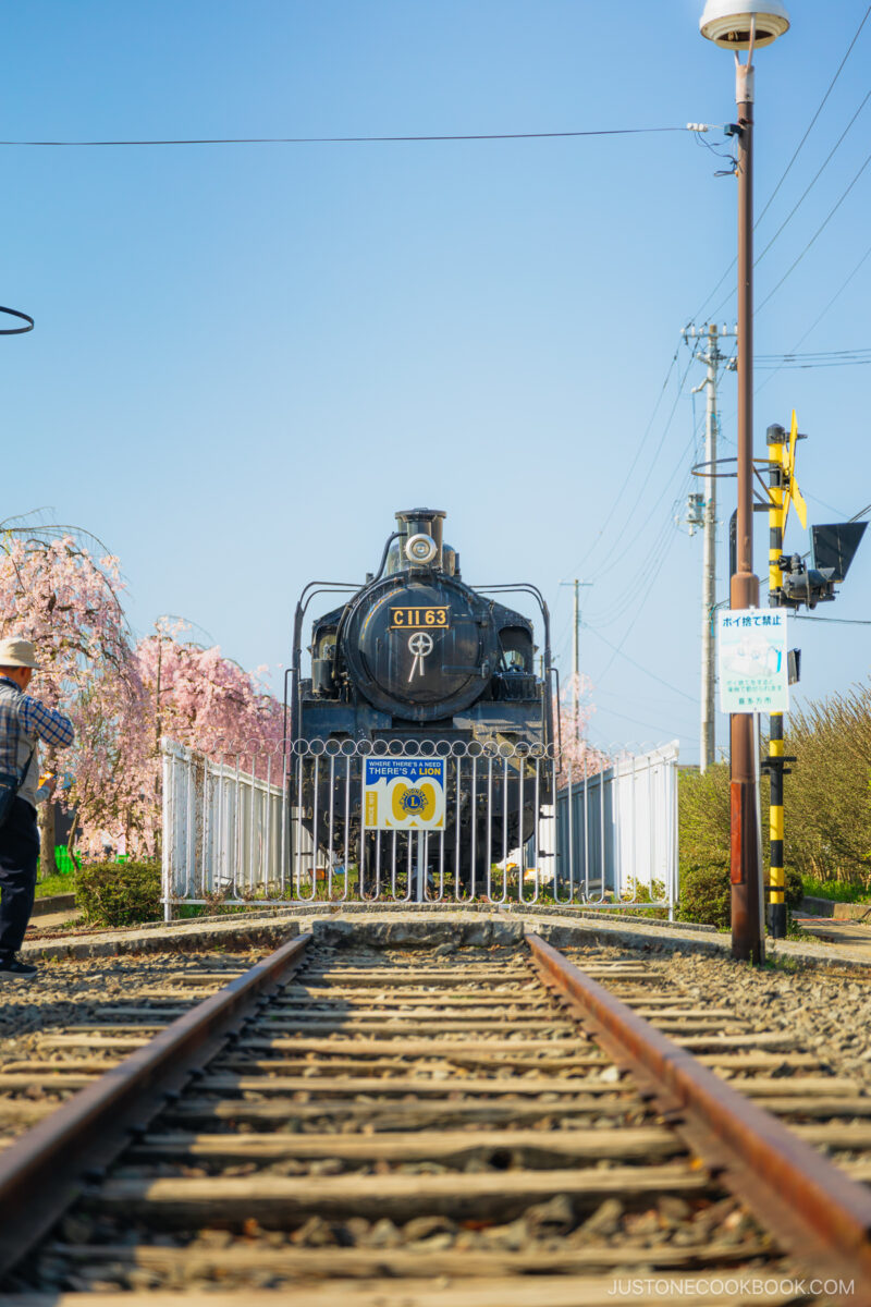 Steam locomotive surrounded by cherry blossoms