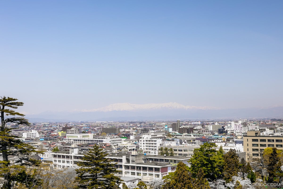 View overlooking city with snowy mountain in the background