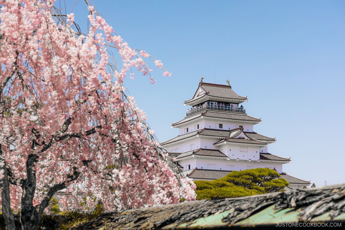 Castle Tower next to cherry tree
