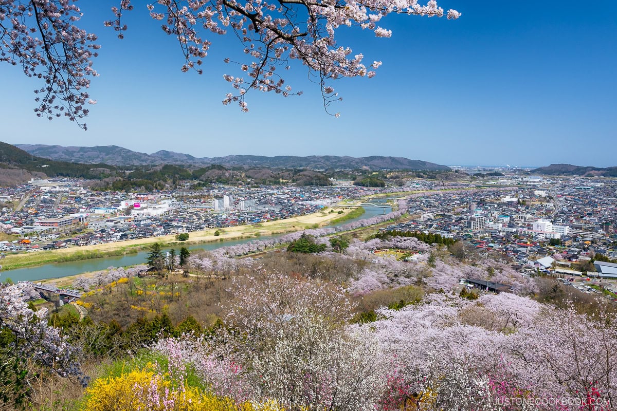 Overlooking a city and river lined with cherry blossoms