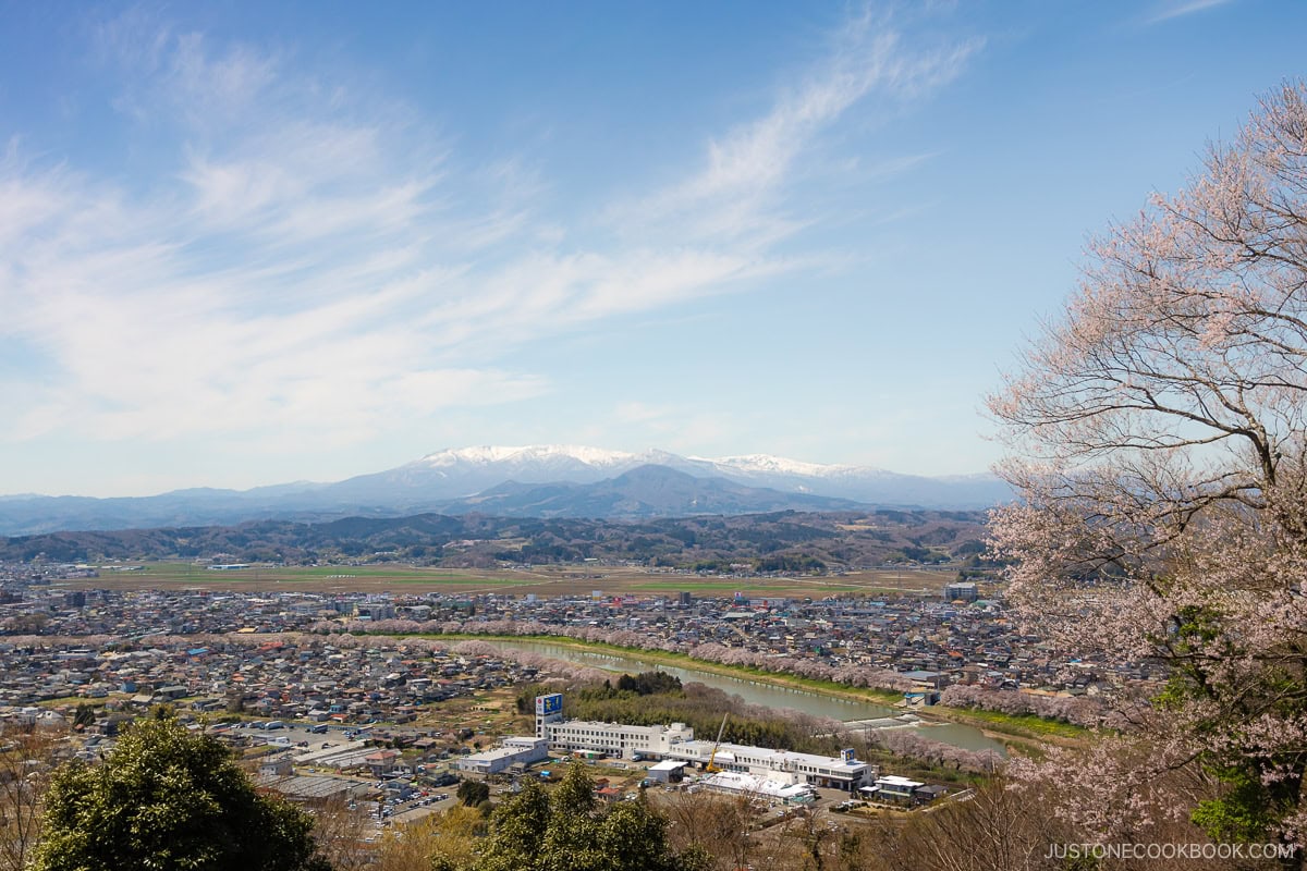 Overlooking a city and river lined with cherry blossoms and snowy mountain in the background