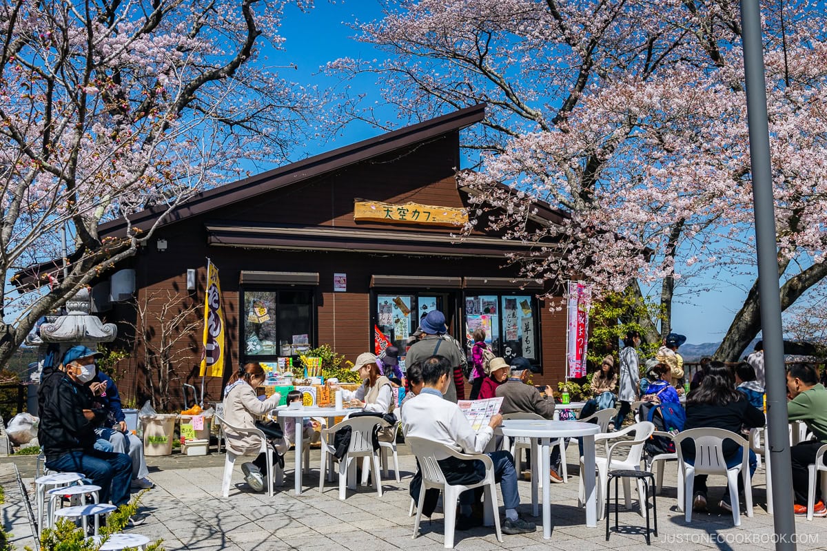 People sitting outside a cafe hut under cherry blossoms
