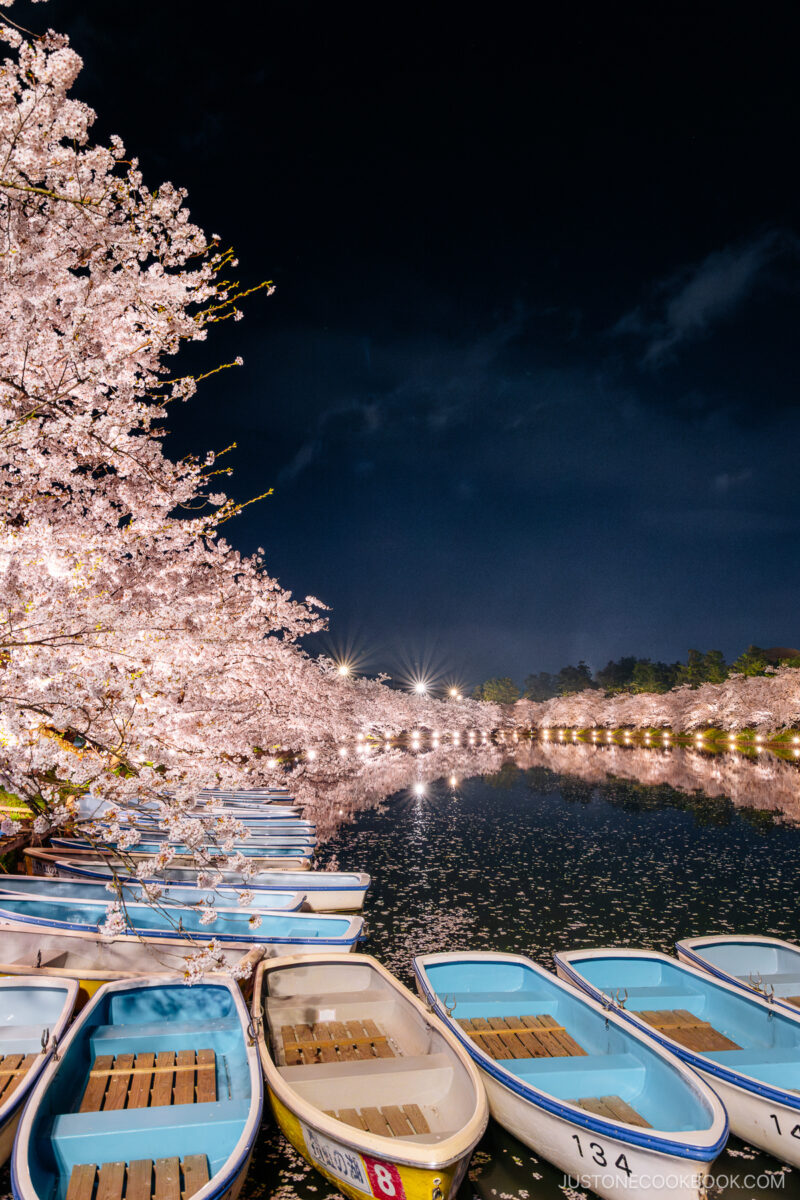 River lined with illuminated cherry trees and rowing boats in the foreground