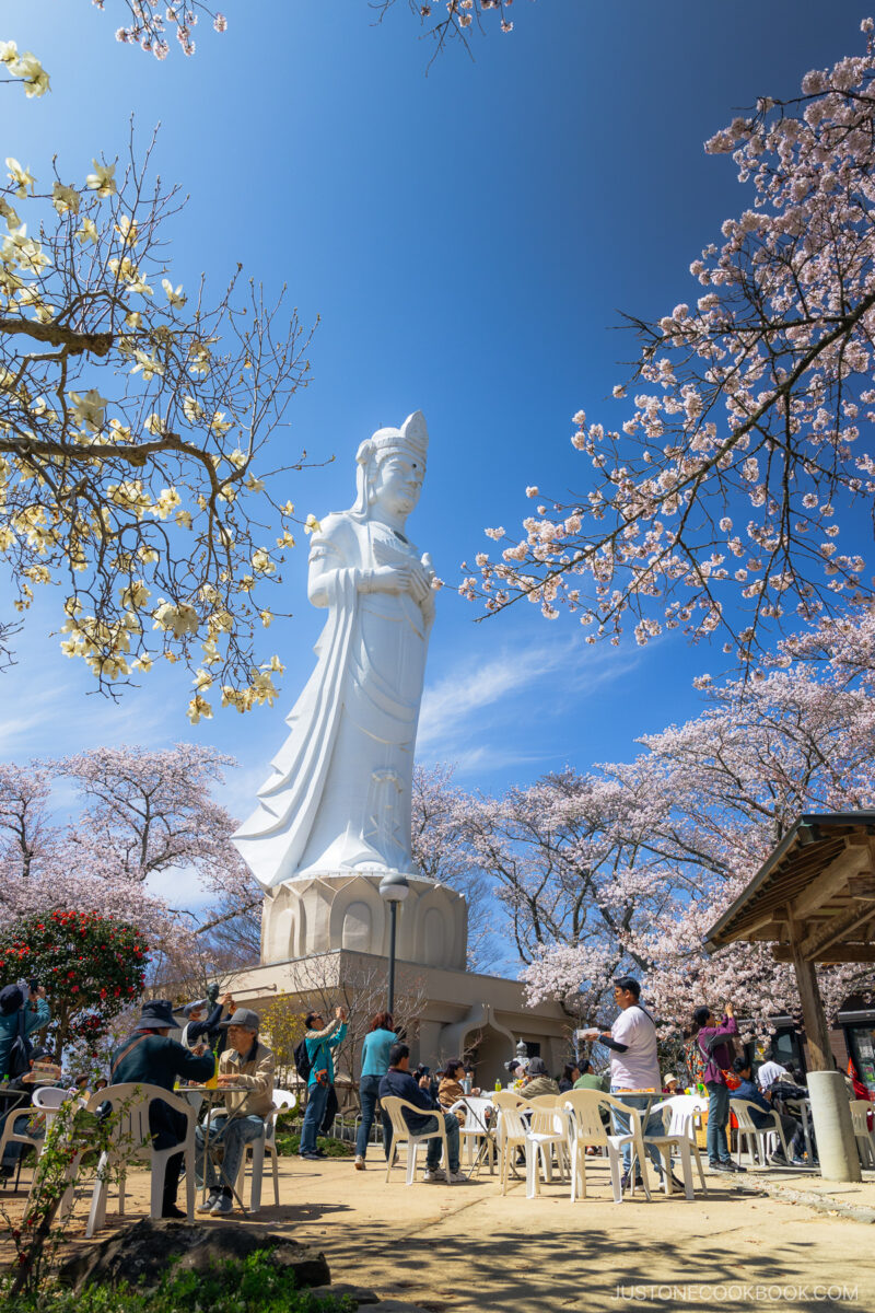 Kannon Statue surrounded by cherry blossoms