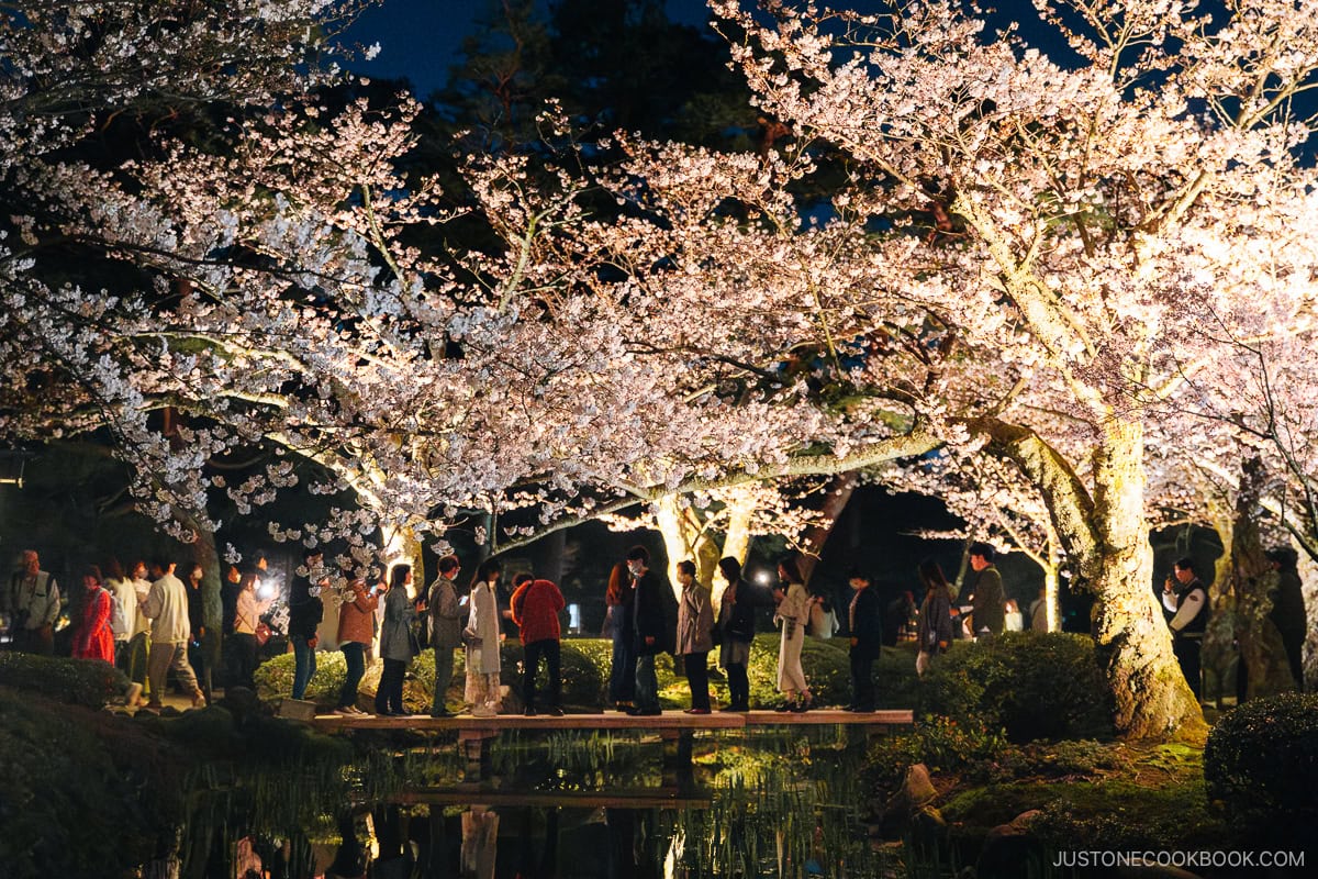 People crossing over a bridge under cherry blossoms at night