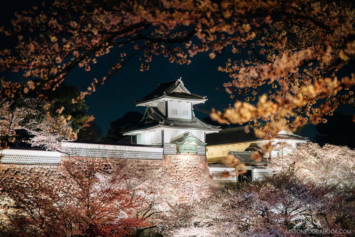 Kanazawa Castle surrounded by cherry blossoms
