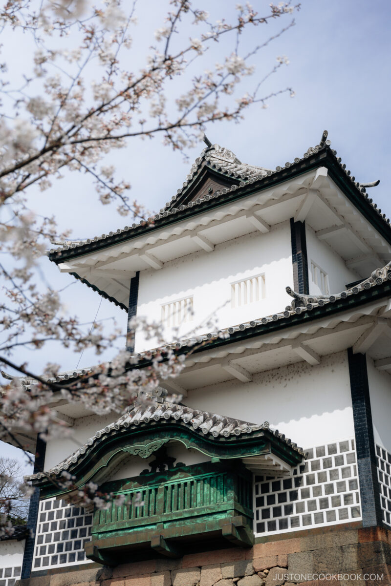 Kanazawa Castle surrounded by cherry blossoms