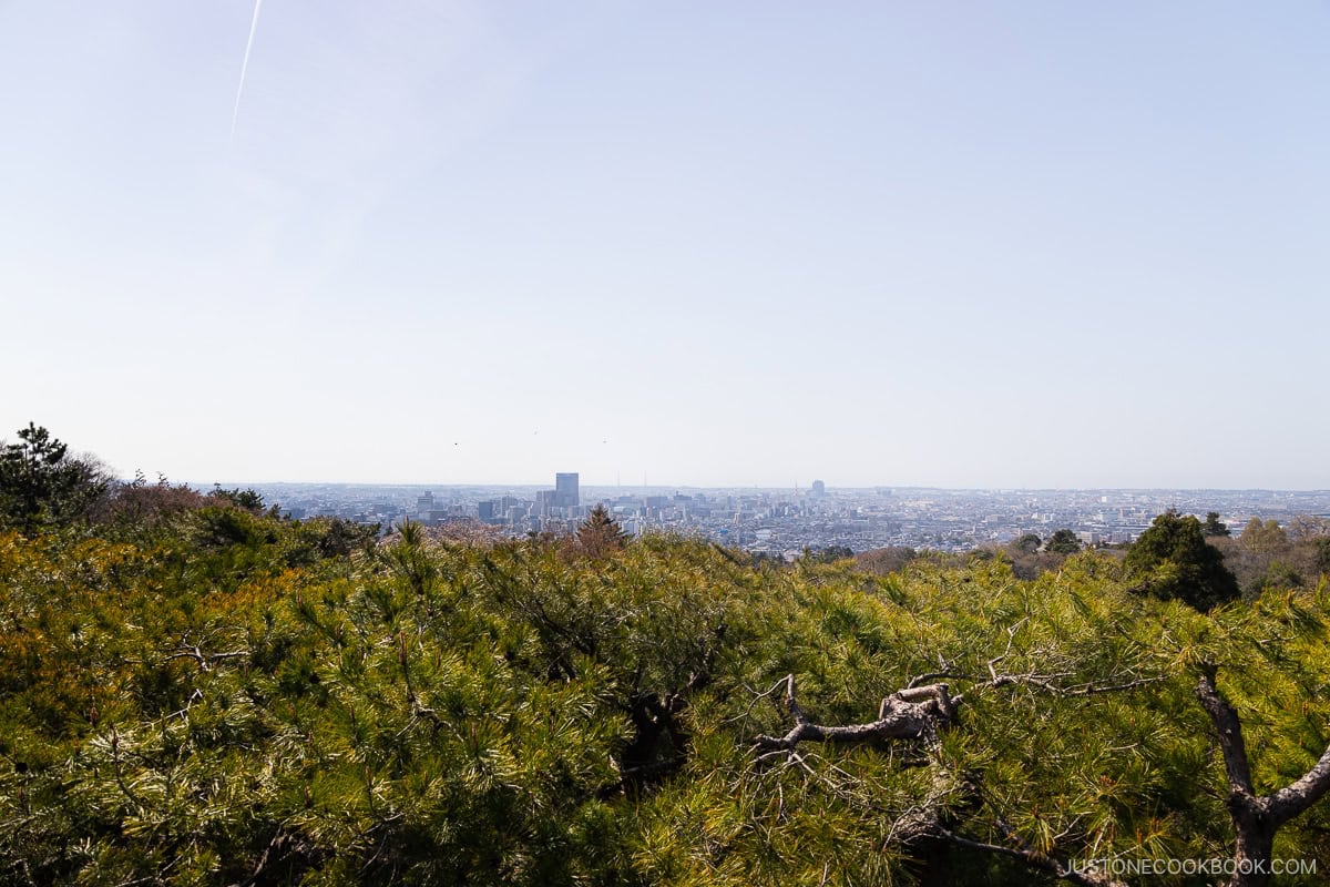 View over Kanazawa city