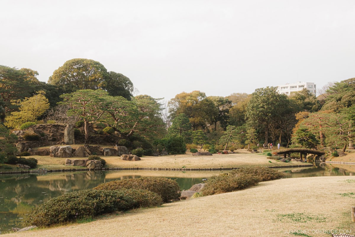Japanese style garden