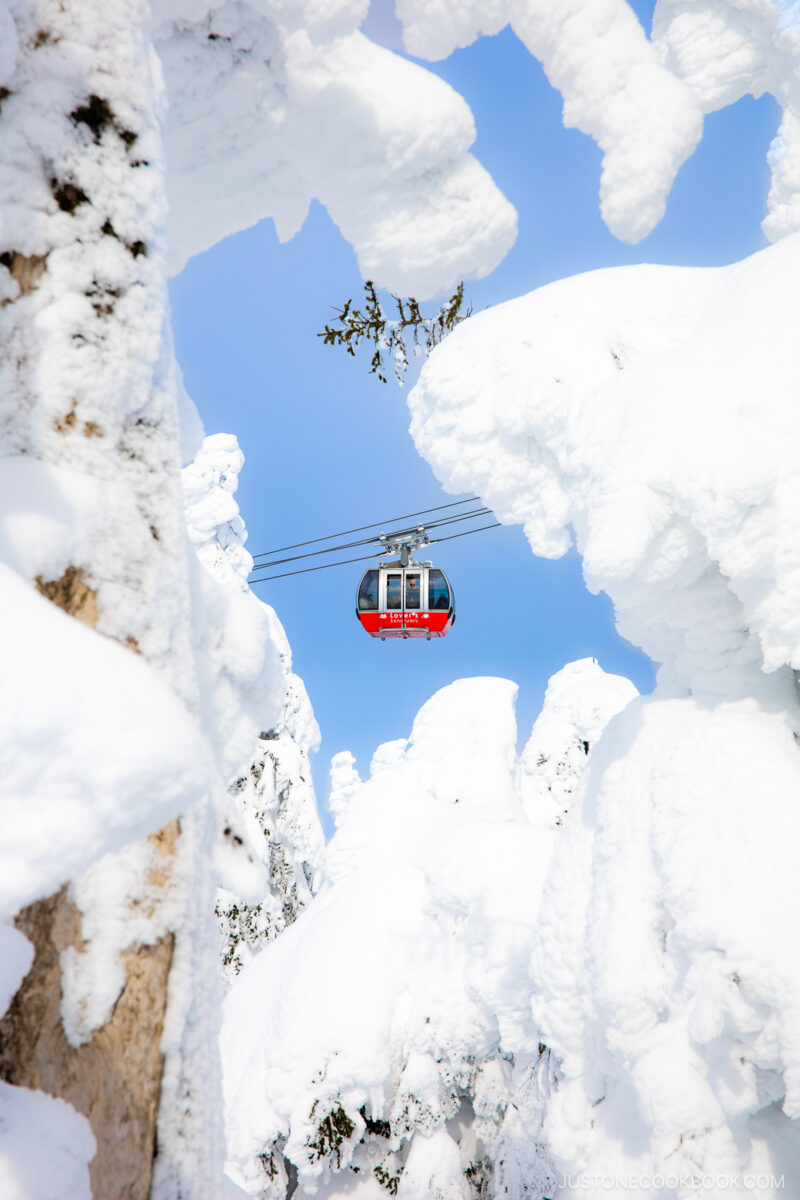 Red cable car framed by snow on trees