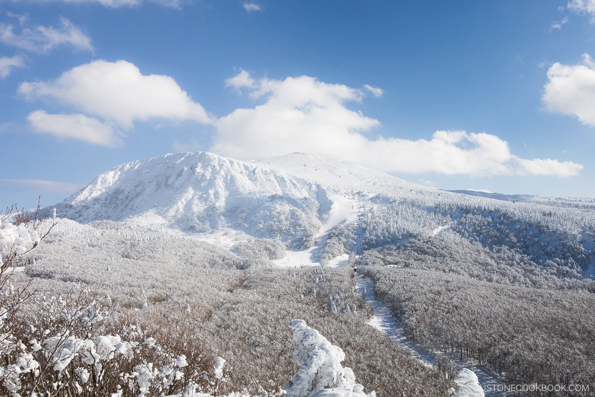 Mountain covered in snow