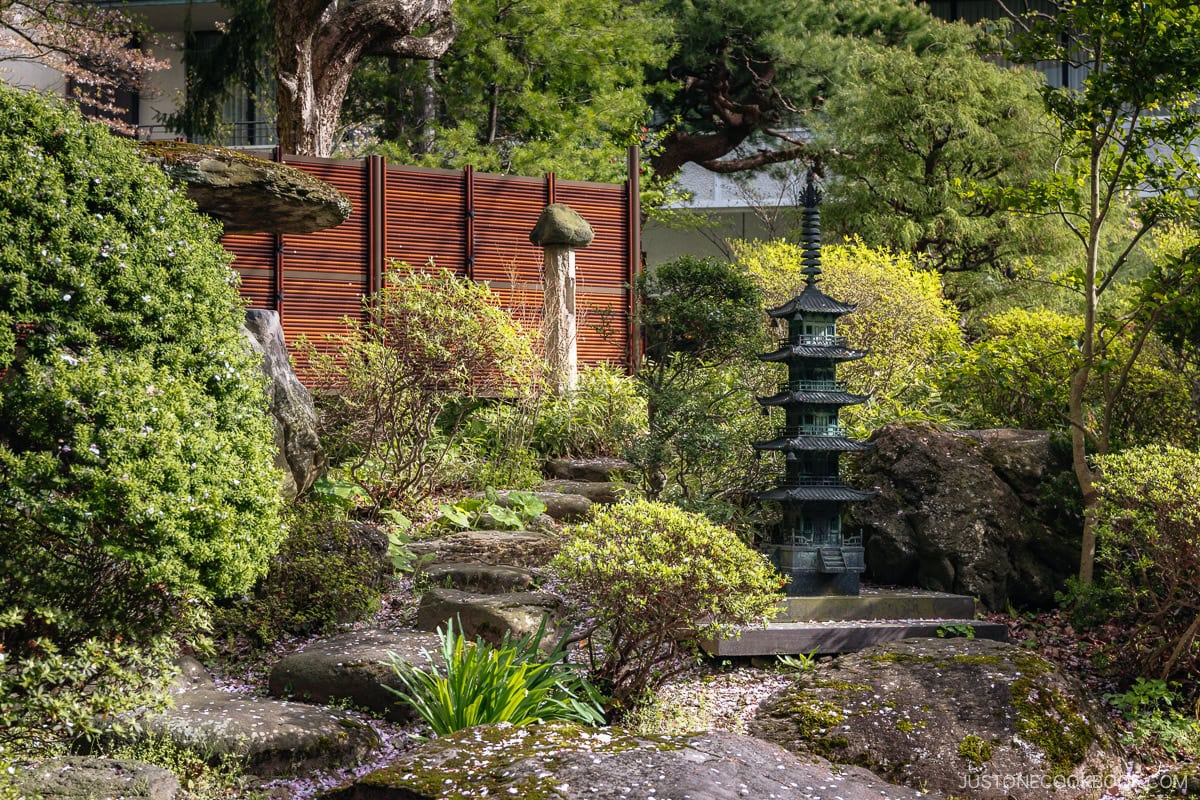 Hotel garden