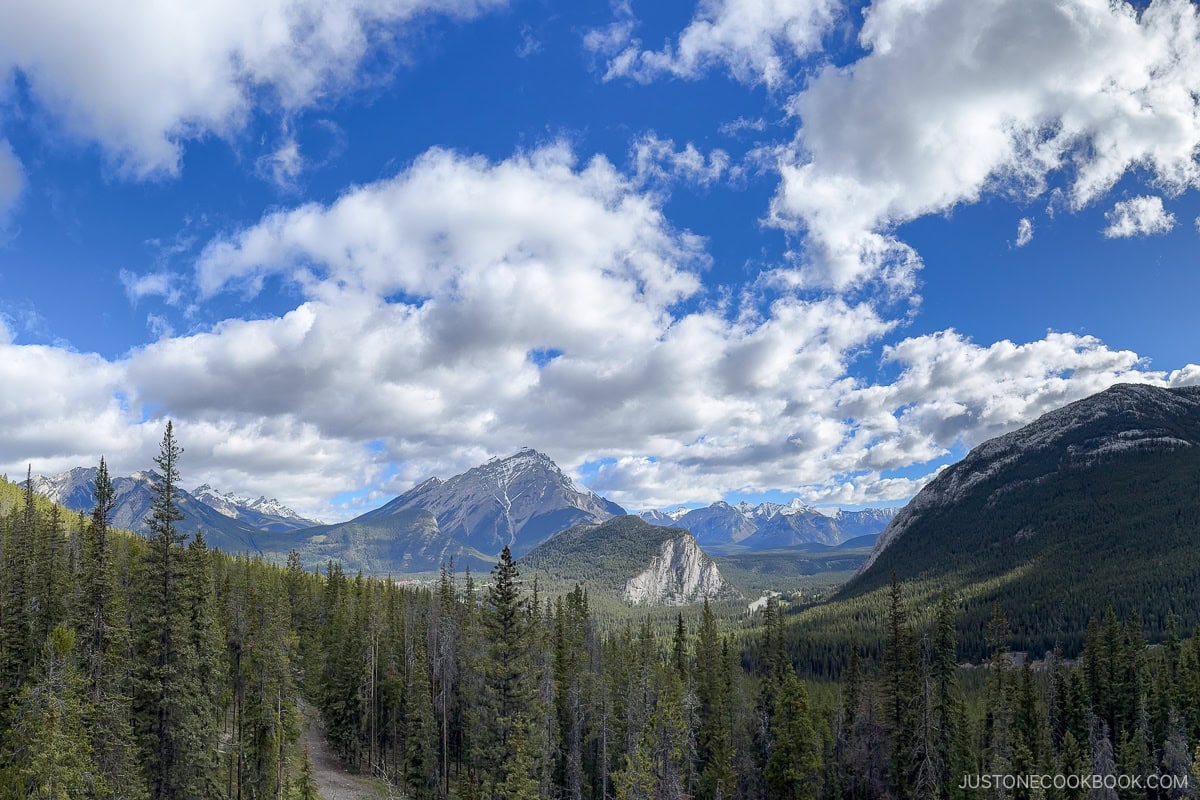 view of trees and mountains around Banff