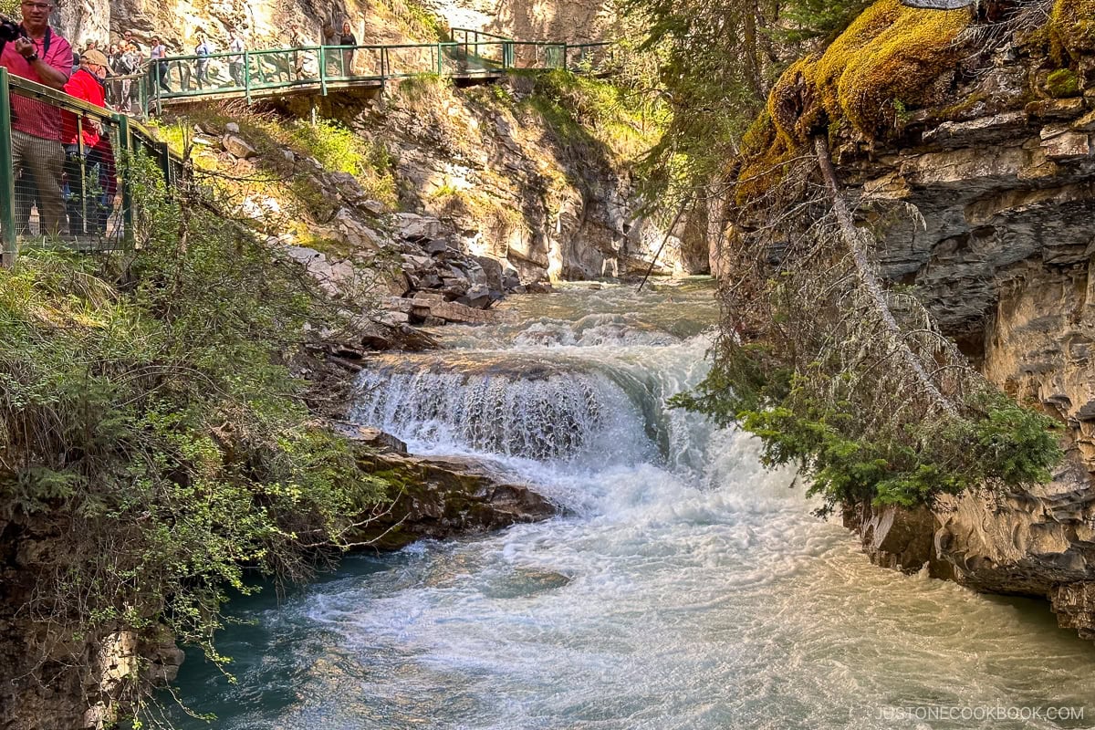 river at Johnston Canyon