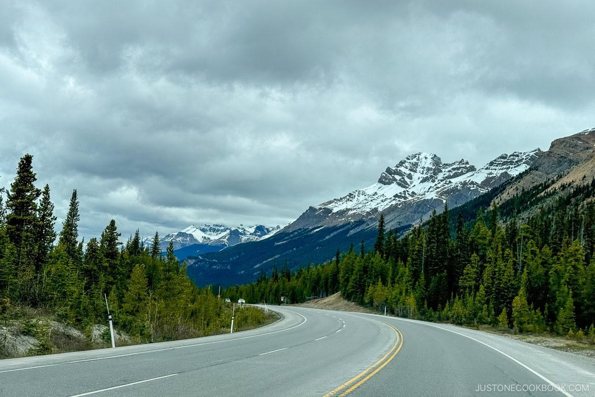 Icefields Parkway with view of mountain peaks and trees