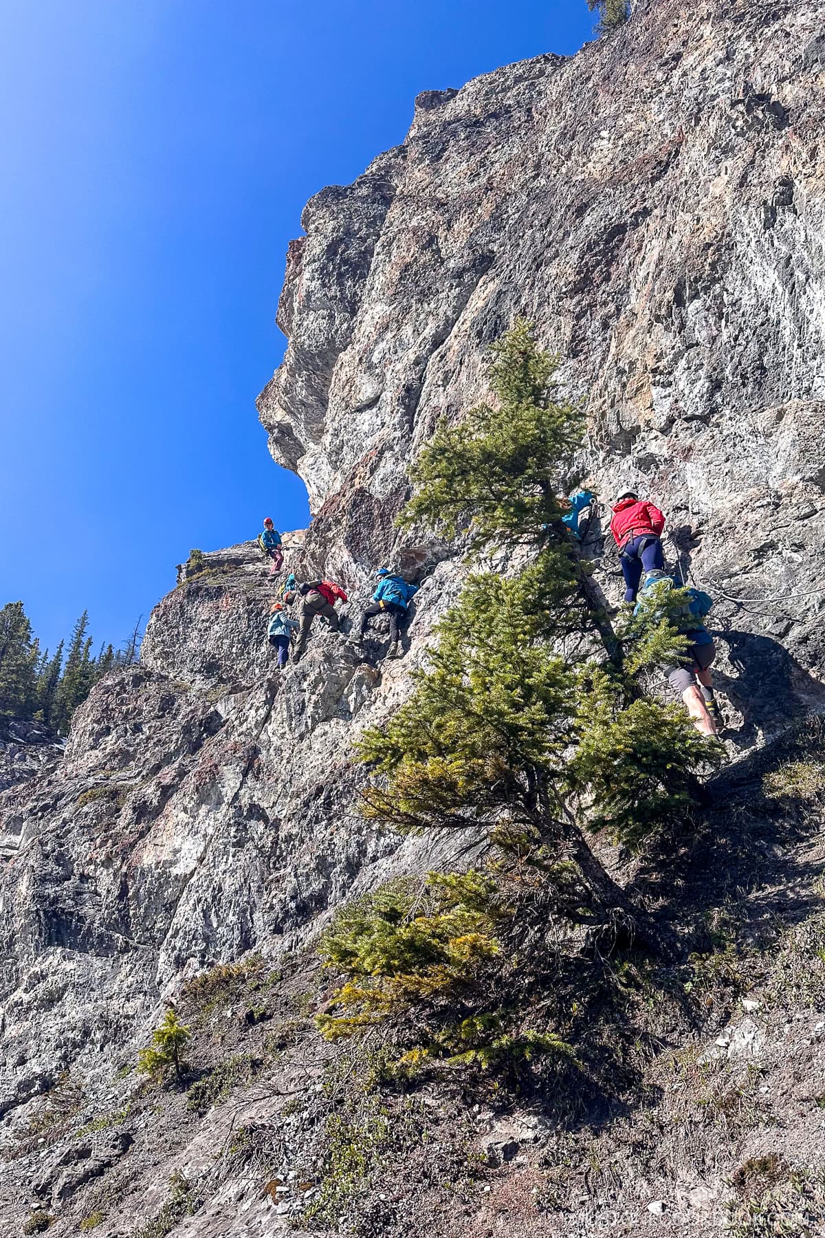 people climbing on Mount Norquay Via Ferrata