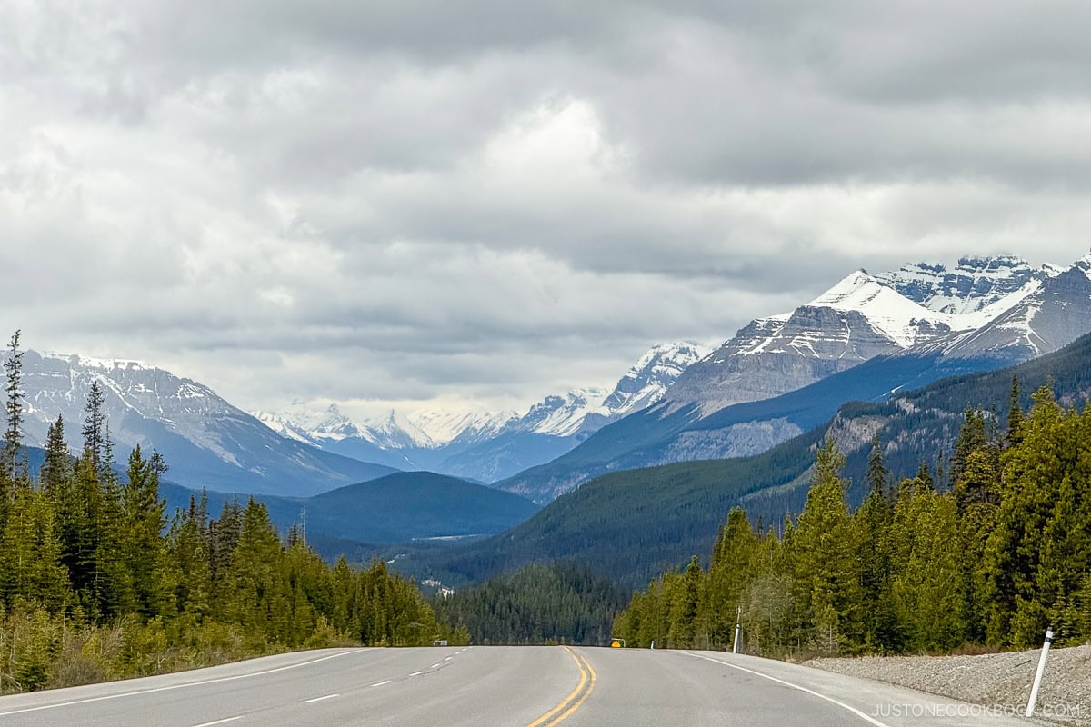 Icefields Parkway with view of mountain peaks and trees