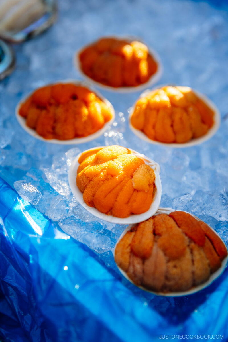 Raw sea urchin
