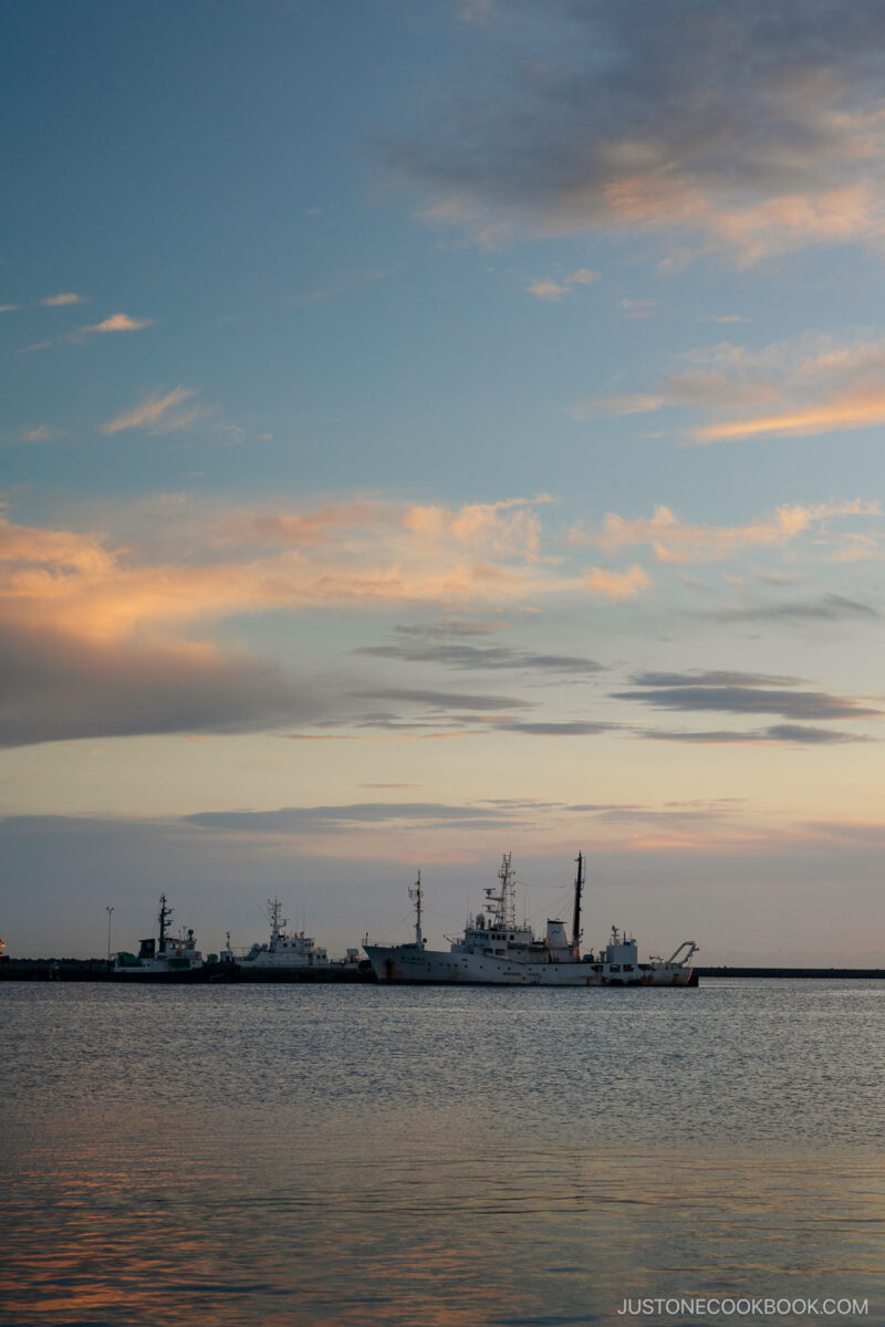 Harbor at sunrise