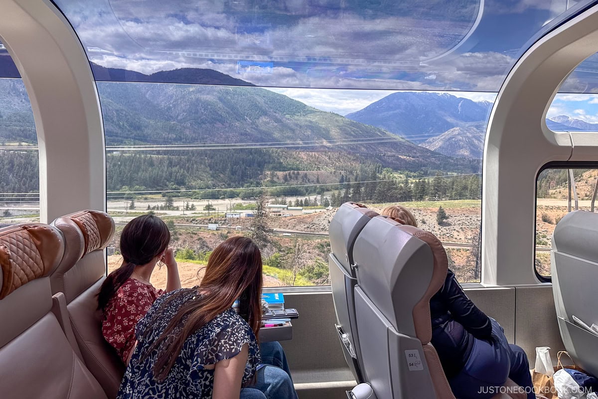 two people looking out a train window