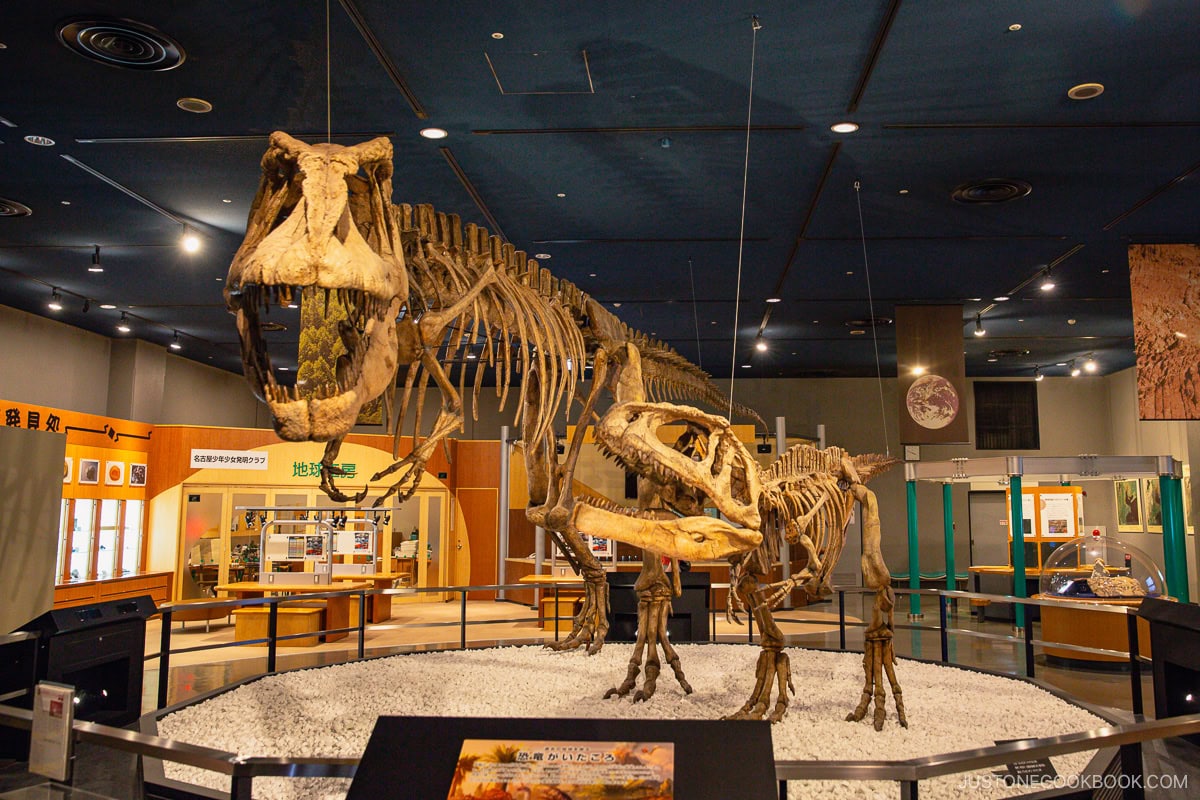 Nagoya City Science Museum dinosaur skeleton