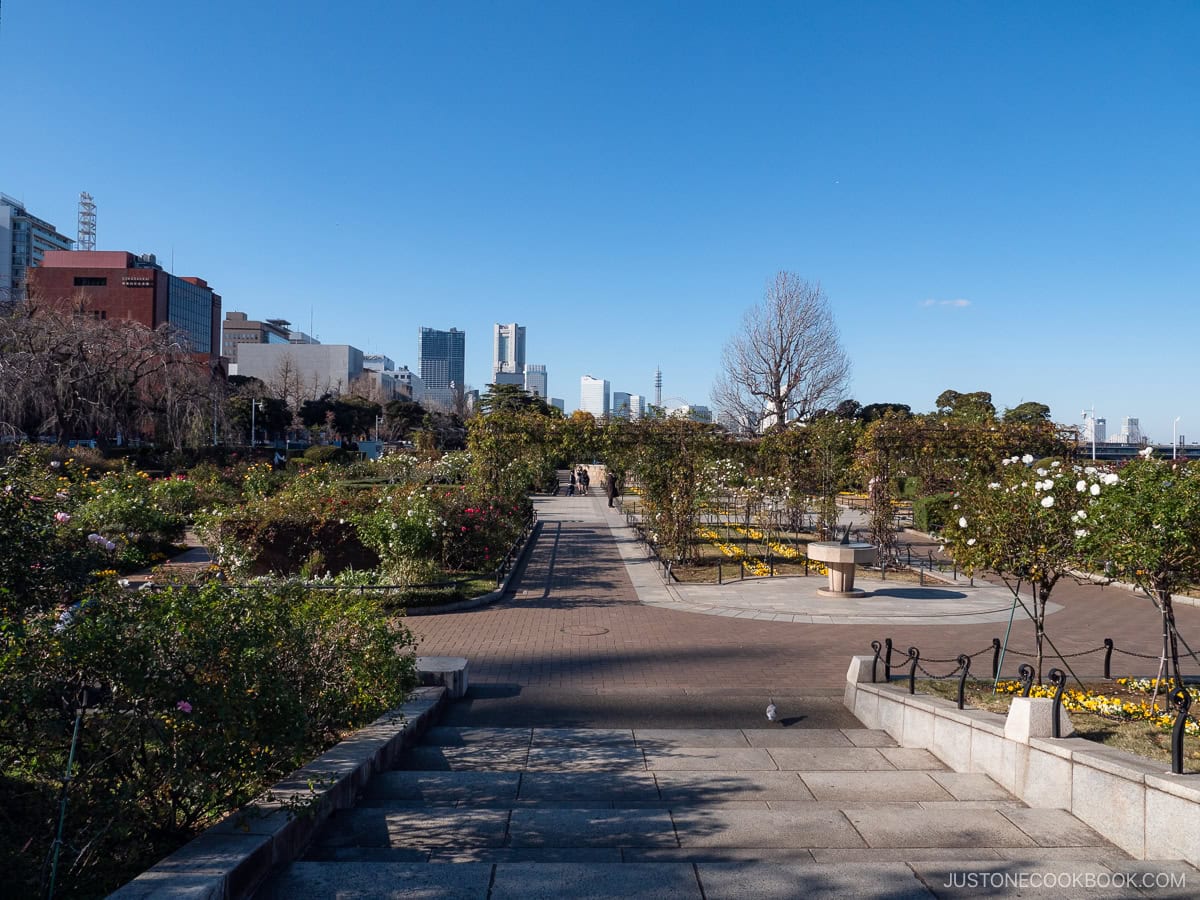 flowers in Yamashita Park