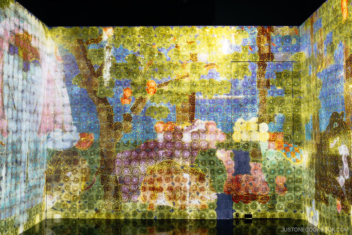 Projection mapping of a garden and animals