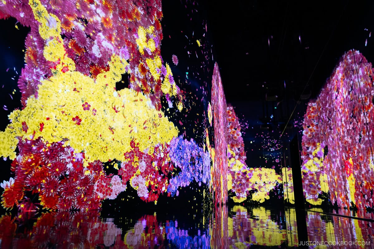 Corridor with a projection mapping of animals made from flowers