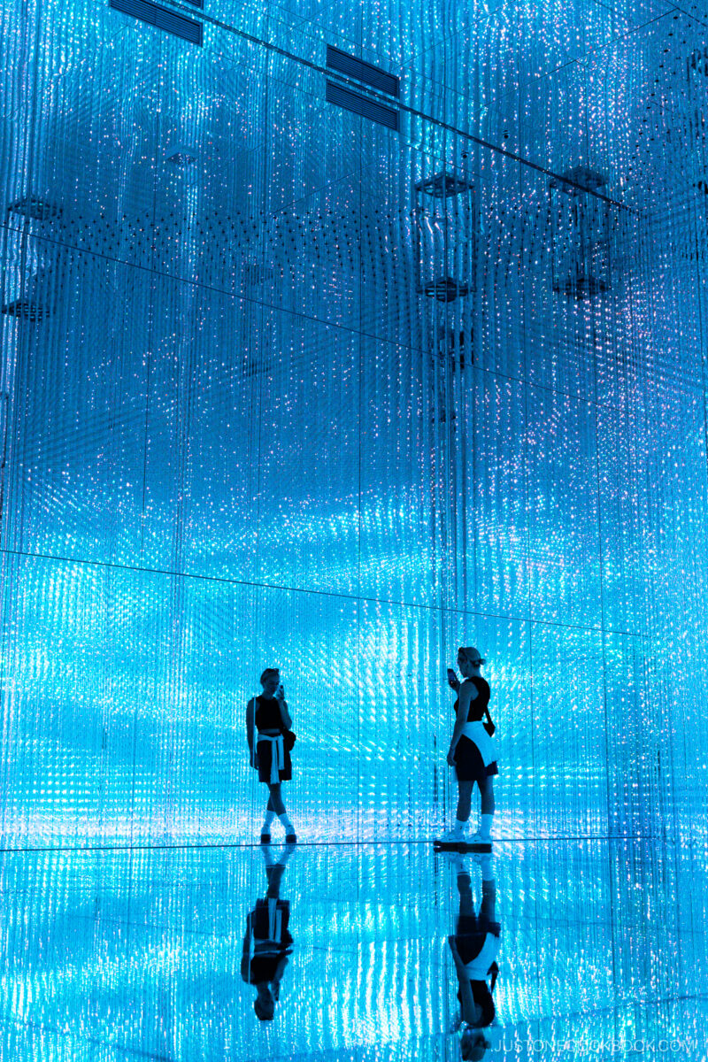 Person taking a picture in a mirrored filled with hanging Blue LED lights