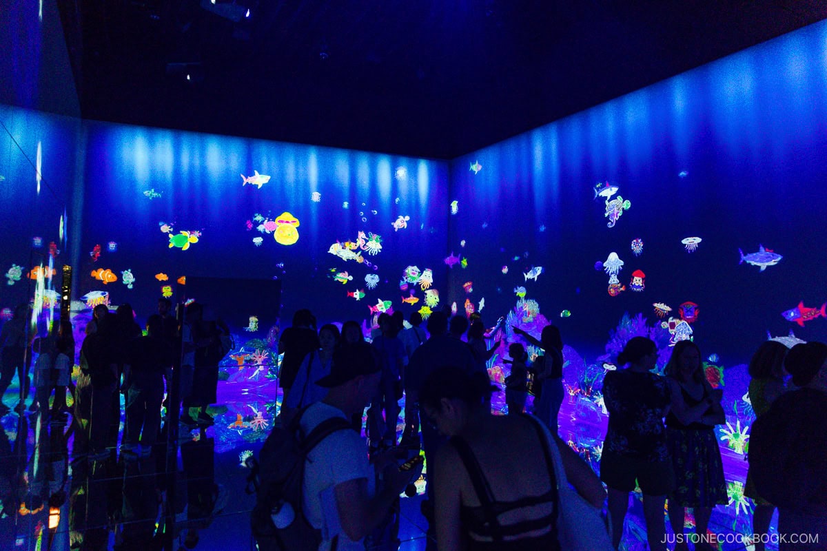 Room with projection mapping of hand drawn creatures