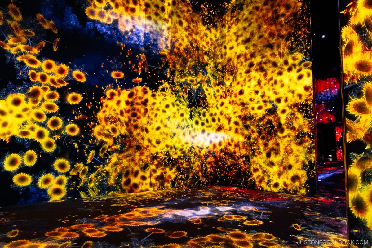 Corridor with sunflower projection mapping