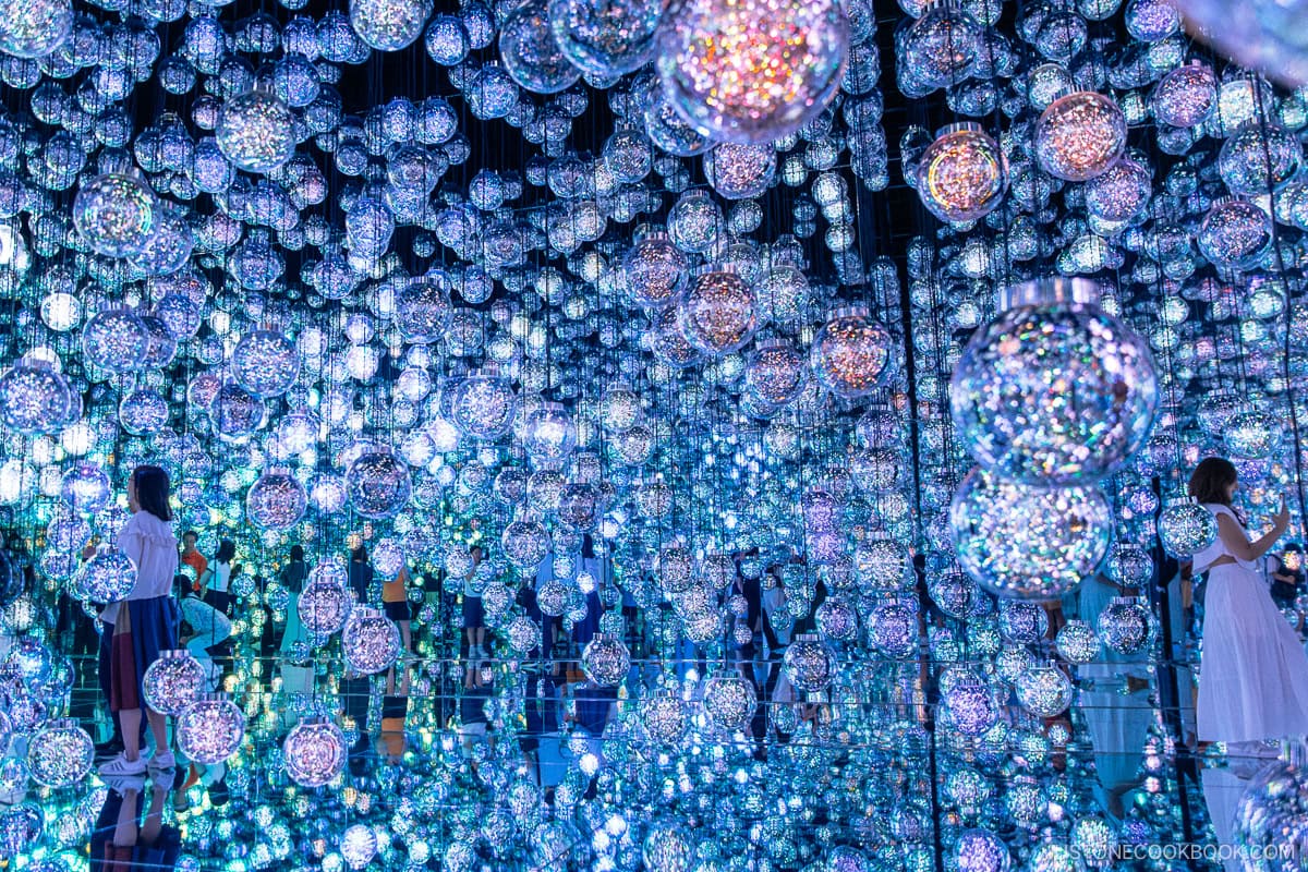 Room filled with hanging glass spheres reflecting LED lights