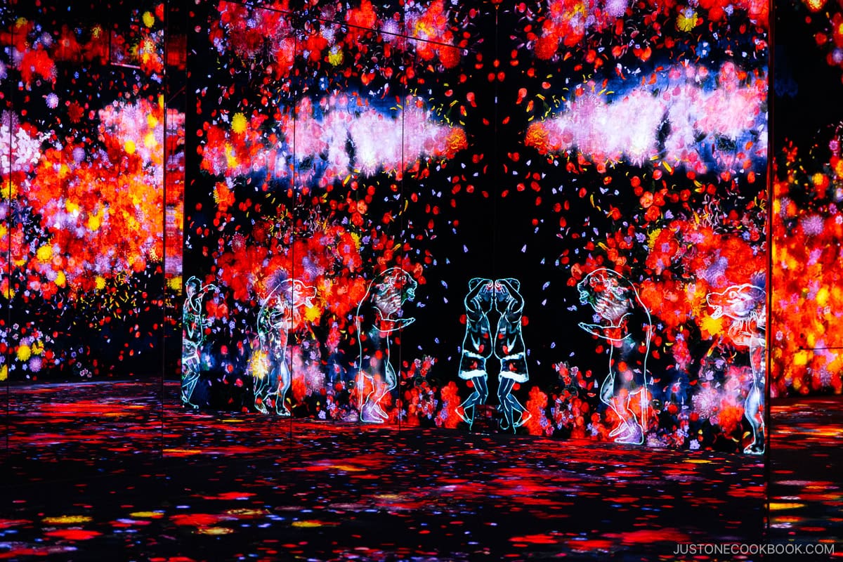 Frog and red flower projection mapping