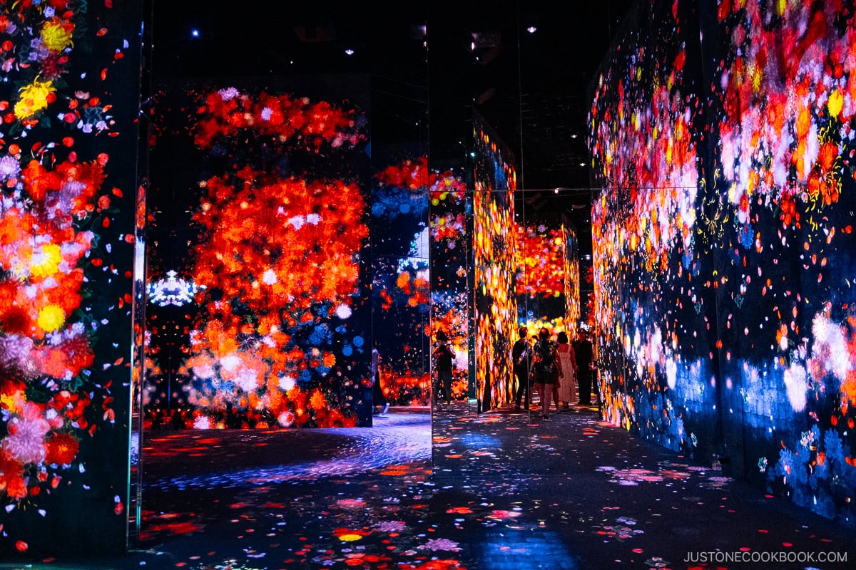 Corridor with flower projection mapping