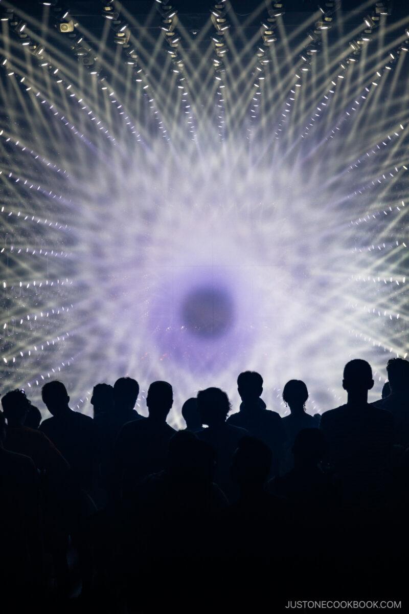 People watching a light show