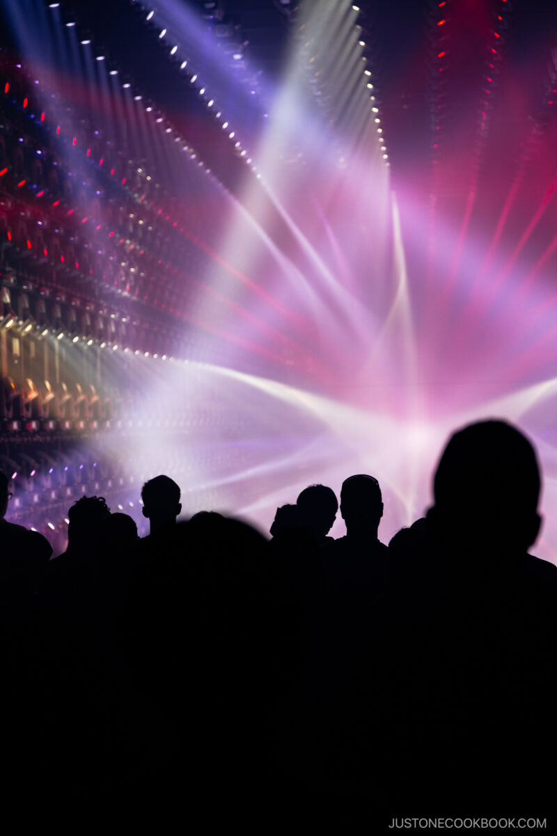 People watching a light show