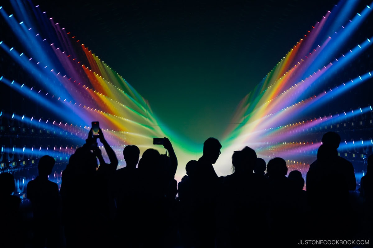 People watching a light show